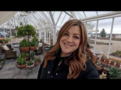 Potting Up Geranium & Lettuce Seedlings + Seedling Tour!