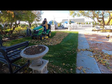 Flower Bed Cleanup, Leaf Mulch, Dahlia Storage & Cooking Butternut Squash Chili!