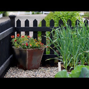 Red Hot Container Arrangement!