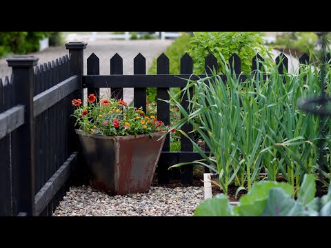 Red Hot Container Arrangement!