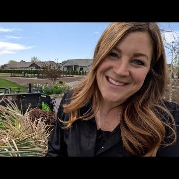 Planting 6 Containers for Summer!