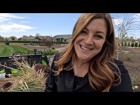 Planting 6 Containers for Summer!