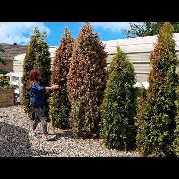 8 Garden Fails This Year!