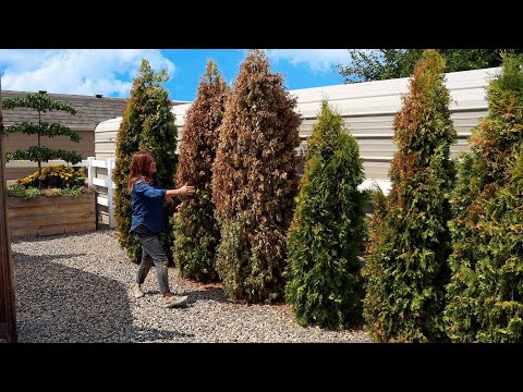 8 Garden Fails This Year!