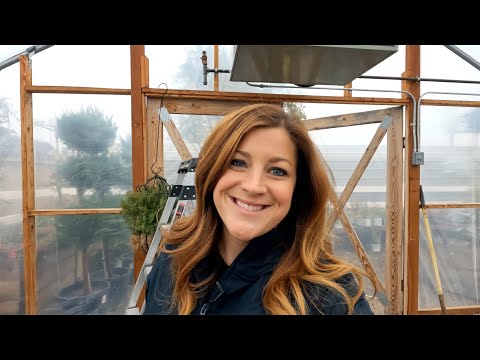 Organizing Around the Greenhouse & Prepping Potted Plants for Winter!
