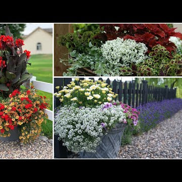A Look Back At the Plants that Performed This Year Pt 2