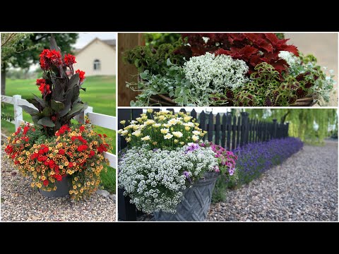 A Look Back At the Plants that Performed This Year Pt 2