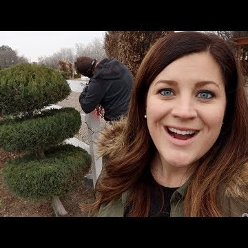 Finishing up the Christmas lights!