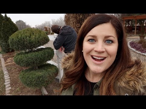 Finishing up the Christmas lights!