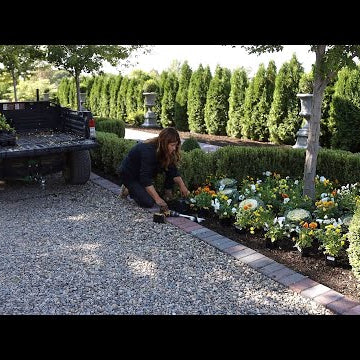 Fall Flowers & Pumpkins in the West Side Formal Garden!