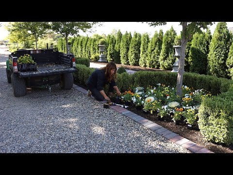 Fall Flowers & Pumpkins in the West Side Formal Garden!