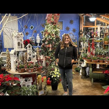 Christmas at the Garden Center Tour!
