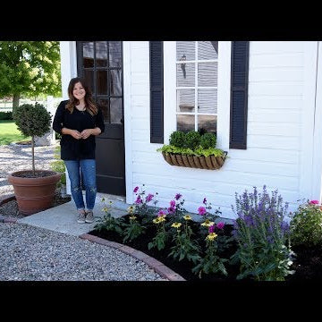 Planting Pollinator-Attracting Plants Around Our Chicken Coop!
