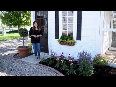 Planting Pollinator-Attracting Plants Around Our Chicken Coop!