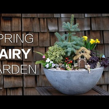Spring Fairy Garden