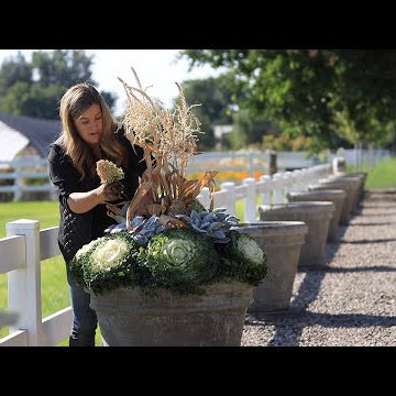Creating Tiered Fall Containers for Maximum Plant Interest!