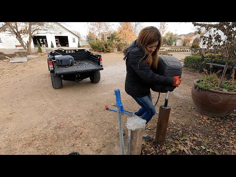Watering in Winter & Filling Bird Feeders!