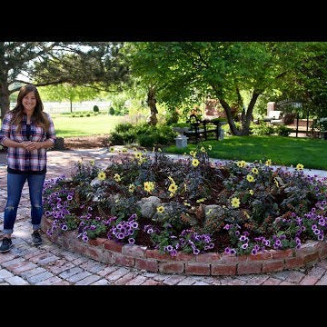 The Biggest Raised Bed I've Ever Planted