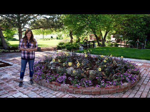 The Biggest Raised Bed I've Ever Planted