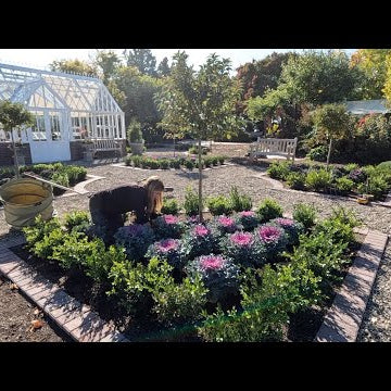 Fall Plants for the Hartley!