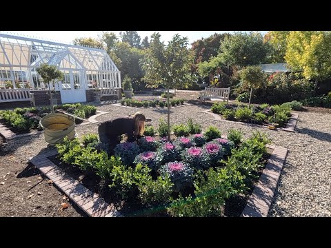 Fall Plants for the Hartley!