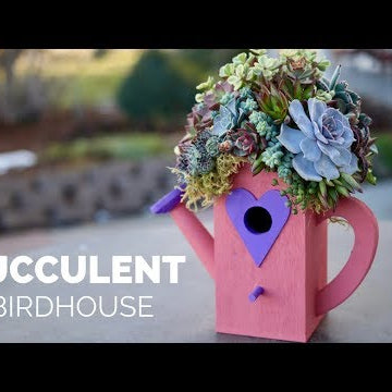 DIY Succulent Birdhouse