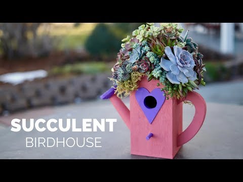 DIY Succulent Birdhouse