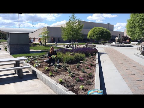 Filling Up Large Spaces with Annuals for Big Color!
