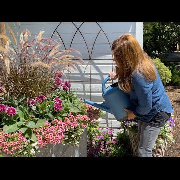 How I Fertilize Flowers and Vegetables!
