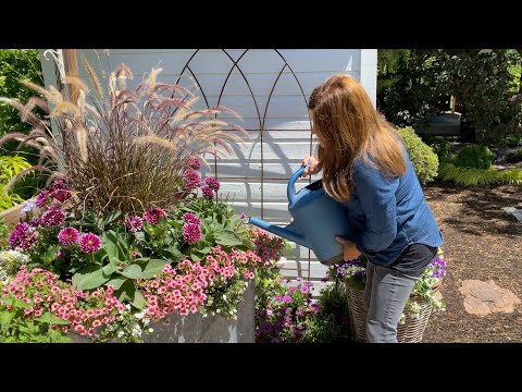 How I Fertilize Flowers and Vegetables!