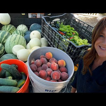 Big Late Summer Harvest!