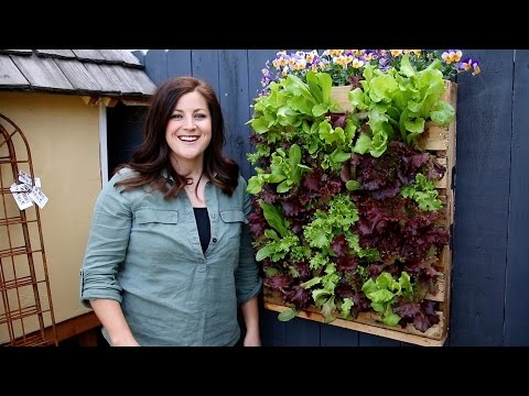 Updates | Pallet Planter | Tulips | GreenStalk Tower