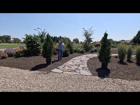 Planting Some Amazing Plants for Winter Interest!