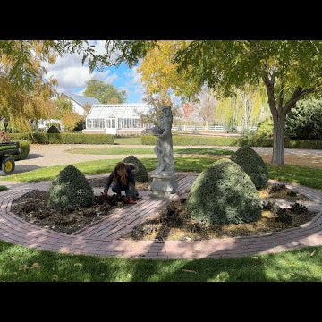 Fall Flower Bed Cleanup!