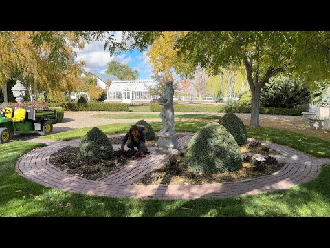 Fall Flower Bed Cleanup!