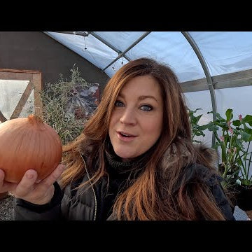 Planting SO Many Onions & Shallots!