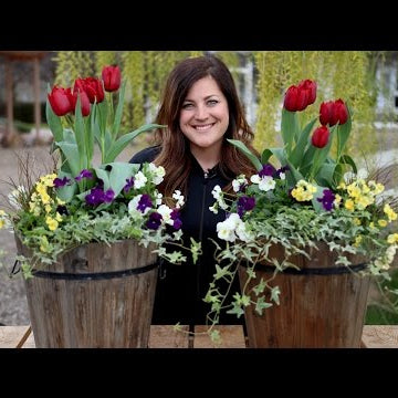 Spring Arrangement with Tulips