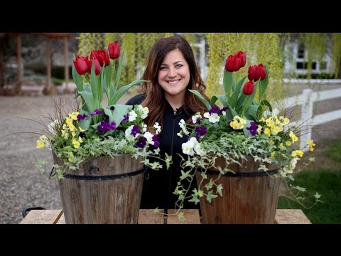 Spring Arrangement with Tulips