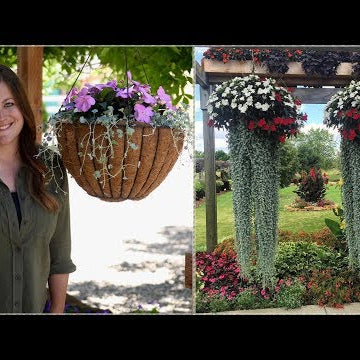The Hanging Basket Jellyfish Challenge