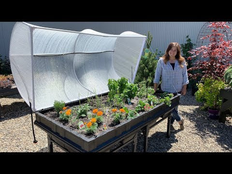 Large Vegepod Raised Garden Bed! This thing is huge!