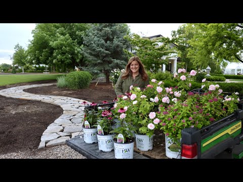 Planting Pink-Blooming, Full Sun Loving Plants!