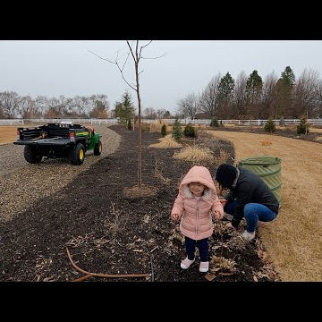 Spring Flower Bed Clean-Out in the Rain!