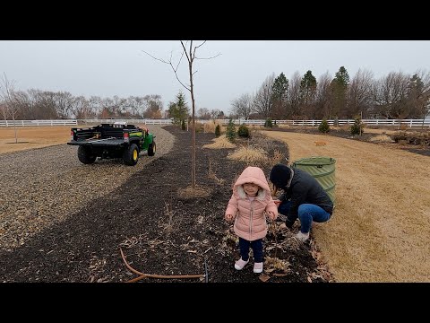 Spring Flower Bed Clean-Out in the Rain!