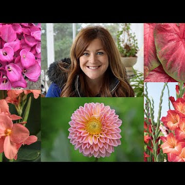 5 Popular Bulbs You Can Plant Now for Gorgeous Summer Color!