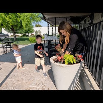 Planting the Pots at Our Church + Planting Sunflowers, Corn, Cosmos & Sweet Potatoes!