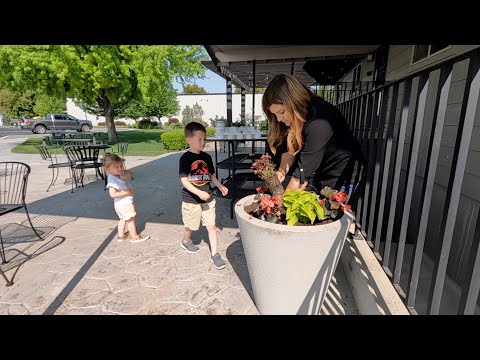 Planting the Pots at Our Church + Planting Sunflowers, Corn, Cosmos & Sweet Potatoes!