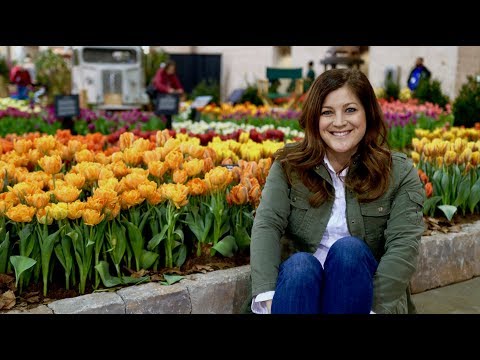 2019 Philadelphia Flower Show!