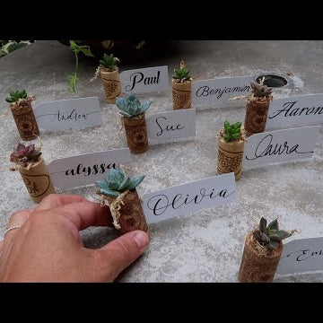 Flower Arrangement & Succulent Craft!