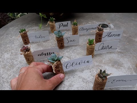Flower Arrangement & Succulent Craft!