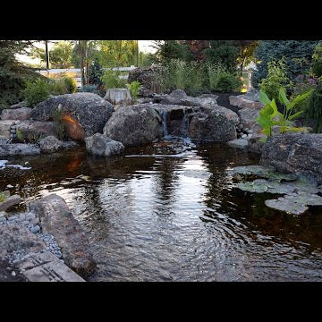 A Little Planting & Mulching the New Pond Area!